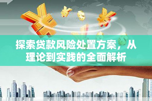 马尔康探索贷款风险处置方案，从理论到实践的全面解析