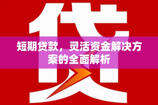 马尔康短期贷款，灵活资金解决方案的全面解析