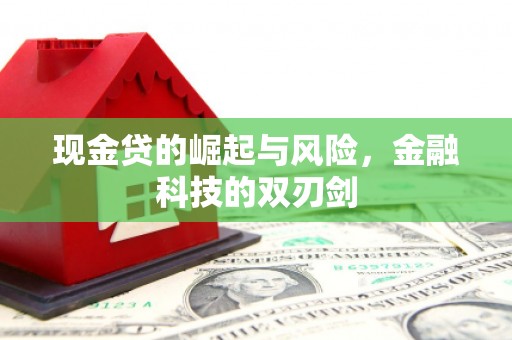 马尔康现金贷的崛起与风险，金融科技的双刃剑