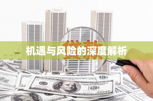 马尔康机遇与风险的深度解析