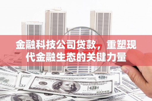 马尔康金融科技公司贷款，重塑现代金融生态的关键力量
