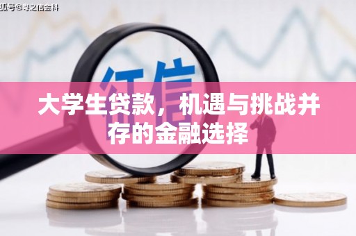 马尔康大学生贷款，机遇与挑战并存的金融选择