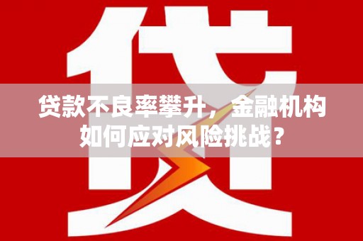 马尔康贷款不良率攀升，金融机构如何应对风险挑战？