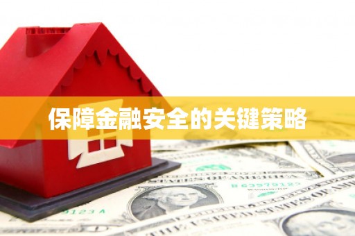 马尔康保障金融安全的关键策略