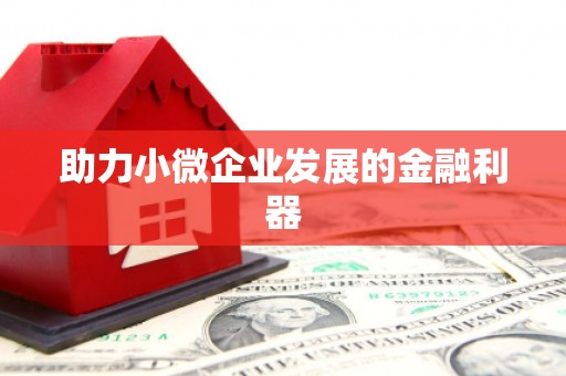 马尔康助力小微企业发展的金融利器
