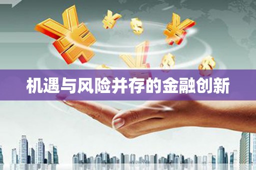 马尔康机遇与风险并存的金融创新
