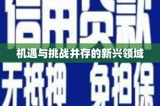 马尔康机遇与挑战并存的新兴领域