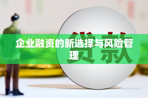马尔康企业融资的新选择与风险管理