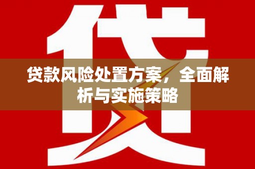 马尔康贷款风险处置方案，全面解析与实施策略