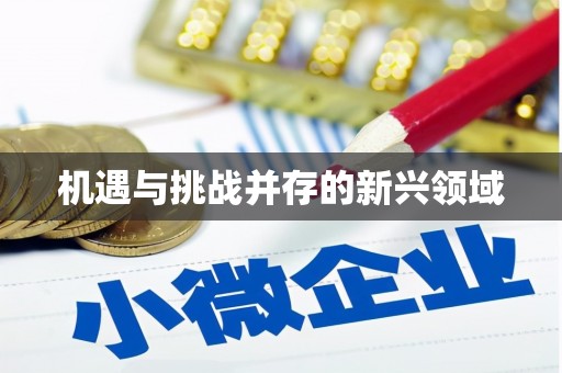 马尔康机遇与挑战并存的新兴领域