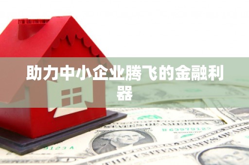 马尔康助力中小企业腾飞的金融利器