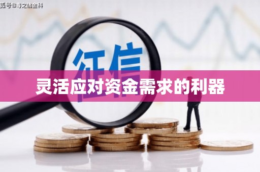 马尔康灵活应对资金需求的利器