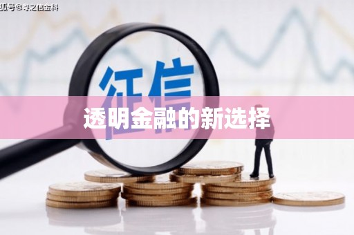 马尔康透明金融的新选择