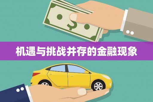 马尔康机遇与挑战并存的金融现象