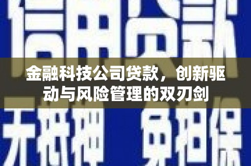 马尔康金融科技公司贷款，创新驱动与风险管理的双刃剑